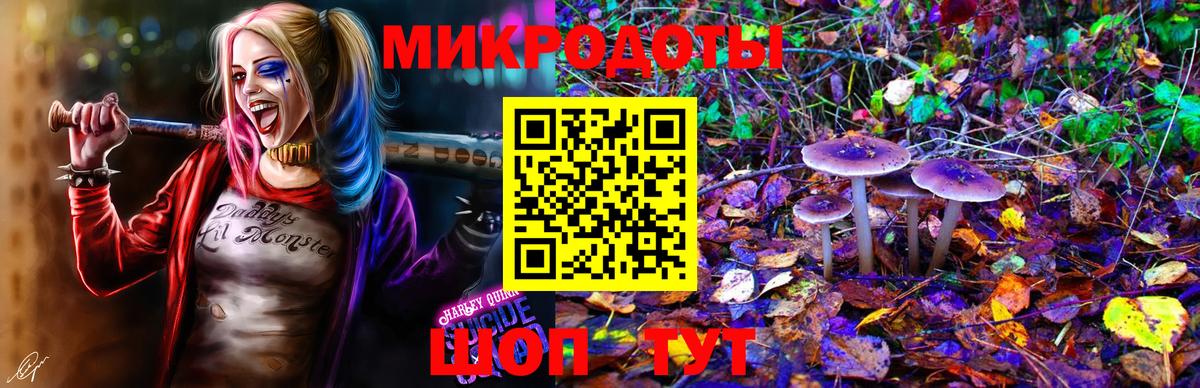 Родники  Галлюциногенные грибы Psilocybine cubensis  Вход с VPN 